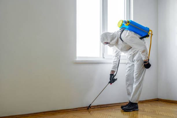 Best Residential Pest Control  in Keyser, WV