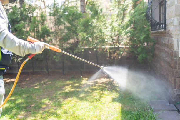 Best Commercial Pest Control Services  in Keyser, WV