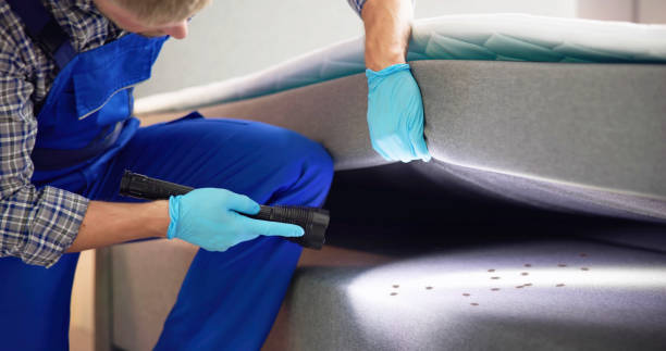 Best Wasp Removal Services  in Keyser, WV