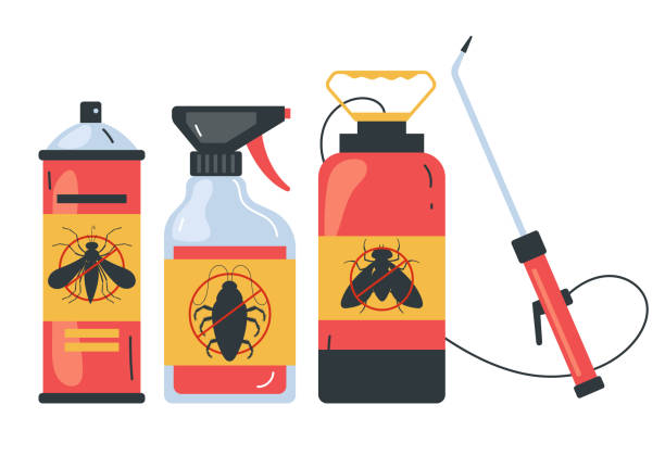 Best Cockroach Control Services  in Keyser, WV