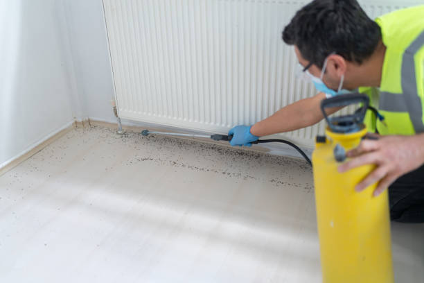 Best Bed Bug Extermination  in Keyser, WV